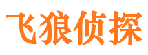 怒江侦探公司